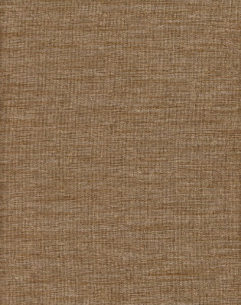Thai Silk Bronze by Heritage Fabric - 100% Polyester - India - 54" - Fabric Carolina -