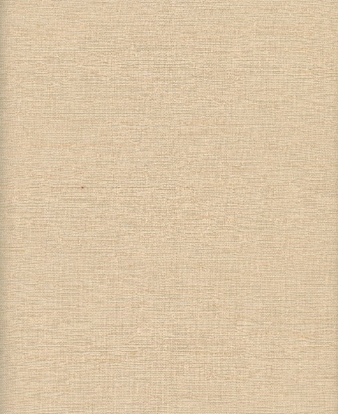 Thai Silk Cashmere by Heritage Fabric - 100% Polyester - India - 54" - Fabric Carolina -