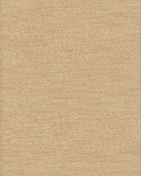 Thai Silk Cornsilk by Heritage Fabric - 100% Polyester - India - 54" - Fabric Carolina -