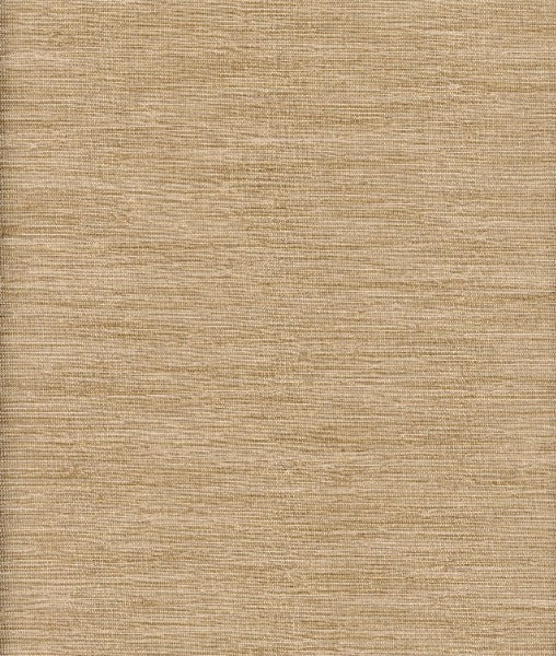 Thai Silk Nougat by Heritage Fabric - 100% Polyester - India - 54" - Fabric Carolina -