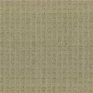 Thatch Sage by Kasmir Designer Fabric