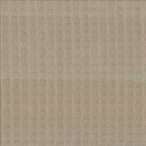Thatch Taupe by Kasmir Designer Fabric