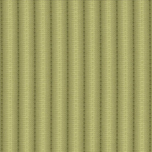 The Strip Verde by Kasmir Designer Fabric