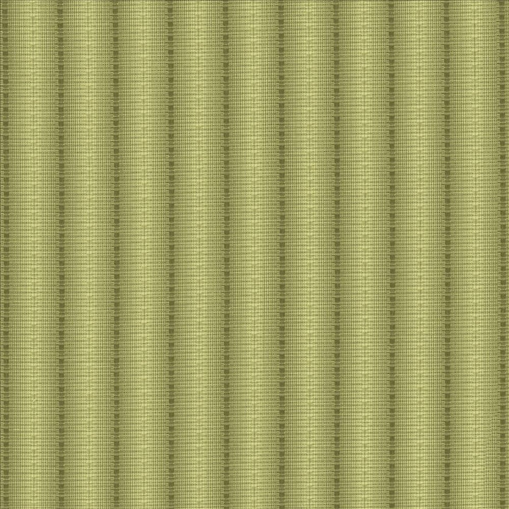 The Strip Verde by Kasmir Designer Fabric 5142 60% Cotton
40% Polyester
 TAIWAN </p><p>Repeat: Horizontal: 1 7/8 inches and Vertical: 2/8 inches 56 - Swanky Fabrics -