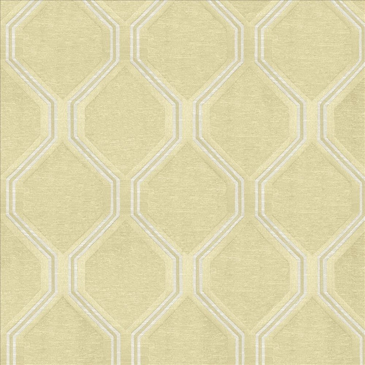 Theorem Bisque by Kasmir Designer Fabric 5119 59% Polyester
41% Cotton
 INDIA </p><p>Repeat: Horizontal: 6 inches and Vertical: 7 4/8 inches 54 - Swanky Fabrics -