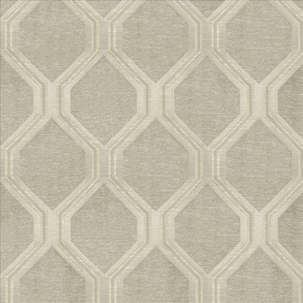 Theorem Silver by Kasmir Designer Fabric 5119 59% Polyester
41% Cotton
 INDIA </p><p>Repeat: Horizontal: 6 inches and Vertical: 7 4/8 inches 54 - Swanky Fabrics -