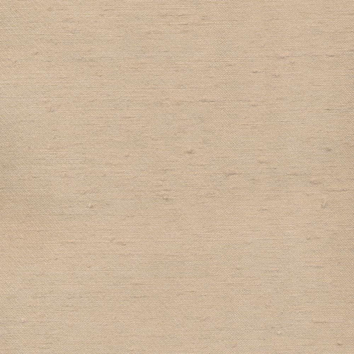 Toccata Latte by Kasmir Designer Fabric 1380 87% Rayon
13% Polyester
 INDIA </p><p>Repeat: Horizontal: N/A and Vertical: N/A 54 - 55 - Swanky Fabrics -