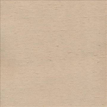 Toccata Latte by Kasmir Designer Fabric 1380 87% Rayon 13% Polyester INDIA Not Tested H: N/A, V: N/A 54 - 55 - Swanky Fabrics - Kasmir