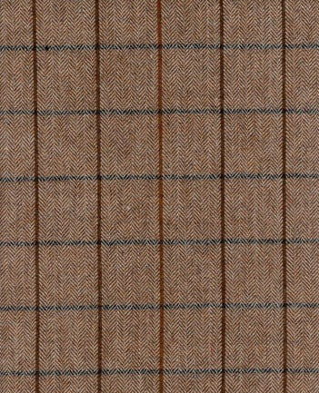 Torino Sienna by Roth & Tompkins Designer Fabric