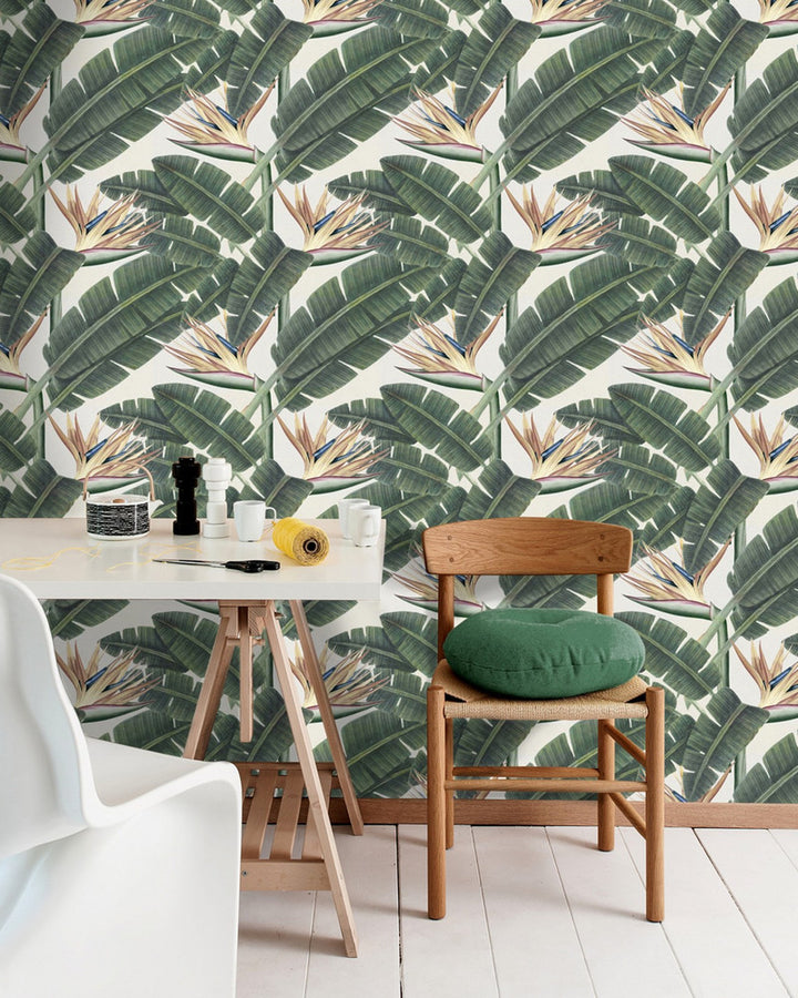 Tropical Bloom Premium Wallpaper by Mind the Gap Designer Wallpaper WALLPAPER DESIGNER COLLECTION Non-woven Made in Europe Paste the wall 3 rolls x 20.5 x 3.25 yards - Swanky Fabrics -
