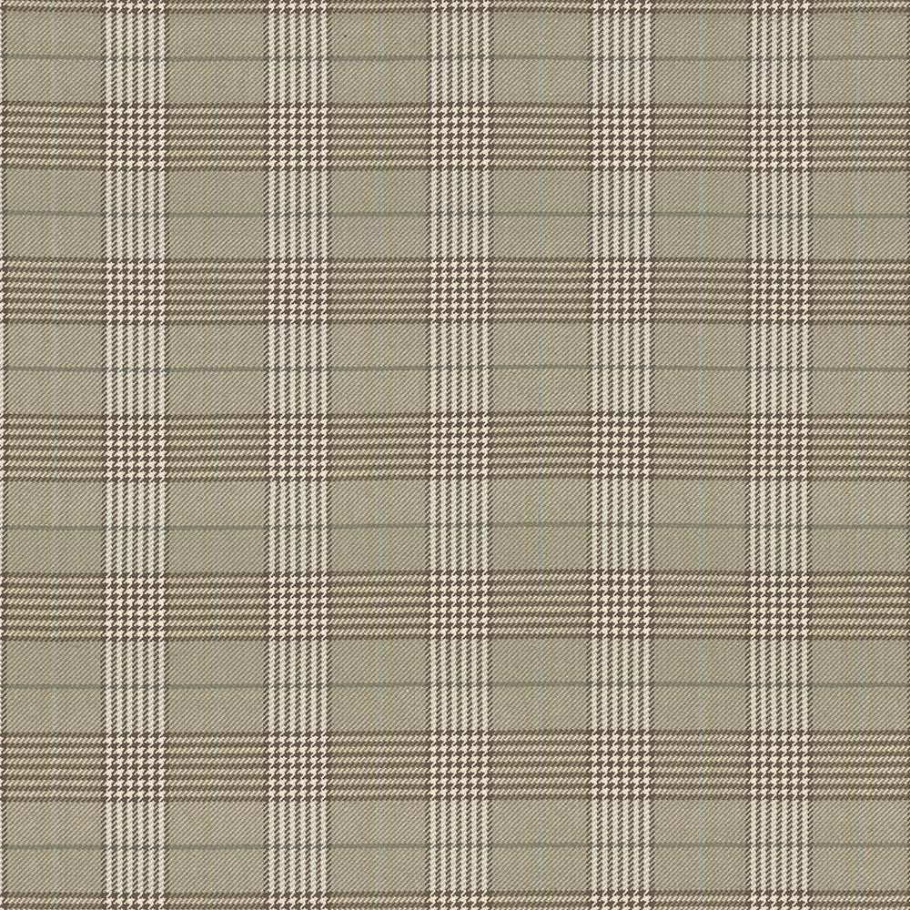 Tuckerton Sand  by Kasmir Designer Fabric 1433 100% Cotton
 INDIA 12,000 Wyzenbeek Double Rubs Horizontal: 4 3/8 inches and Vertical: 4 7/8 inches 53  - Swanky Fabrics -