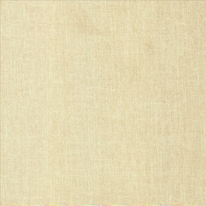 Tundra Ivory by Kasmir Designer Fabric 5161 100% Polyester
 CHINA </p><p>Repeat: Horizontal: N/A and Vertical: N/A 55 - Swanky Fabrics -