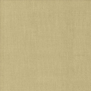 Tundra Linen by Kasmir Designer Fabric