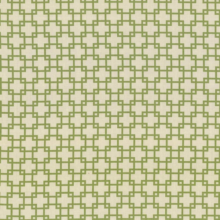 Tunechi Kiwi by Kasmir Designer Fabric 5074 50% Cotton
50% Polyester
 PAKISTAN </p><p>Repeat: Horizontal: 3 inches and Vertical: 2 7/8 inches 53 - Swanky Fabrics -