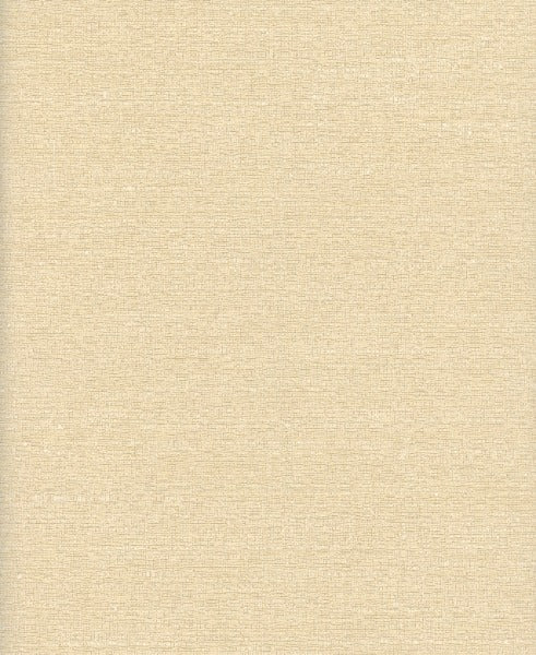 Tussah Silk Bamboo by Heritage Fabric - 100% Polyester - India - 54" - Fabric Carolina -