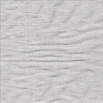 Twinkle Silver by Kasmir Designer Fabric 1374 72% Linen 19% Cotton 9% Metallic INDIA 15,000 Wyzenbeek Double Rubs H: N/A, V: N/A 54 - Swanky Fabrics - Kasmir