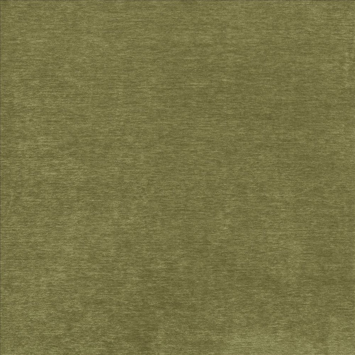 Ultimate Garden by Kasmir Designer Fabric 5180 100% Polyester
 CHINA 100,000 Wyzenbeek Double Rubs </p><p>Repeat: Horizontal: N/A and Vertical: N/A 54 - Swanky Fabrics -