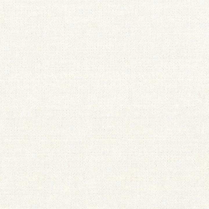 Unforgettable Oyster  by Kasmir Designer Fabric 1350 100% Polyester
 INDIA 25,000 Wyzenbeek Double Rubs Horizontal: N/A and Vertical: N/A 54  - Swanky Fabrics -