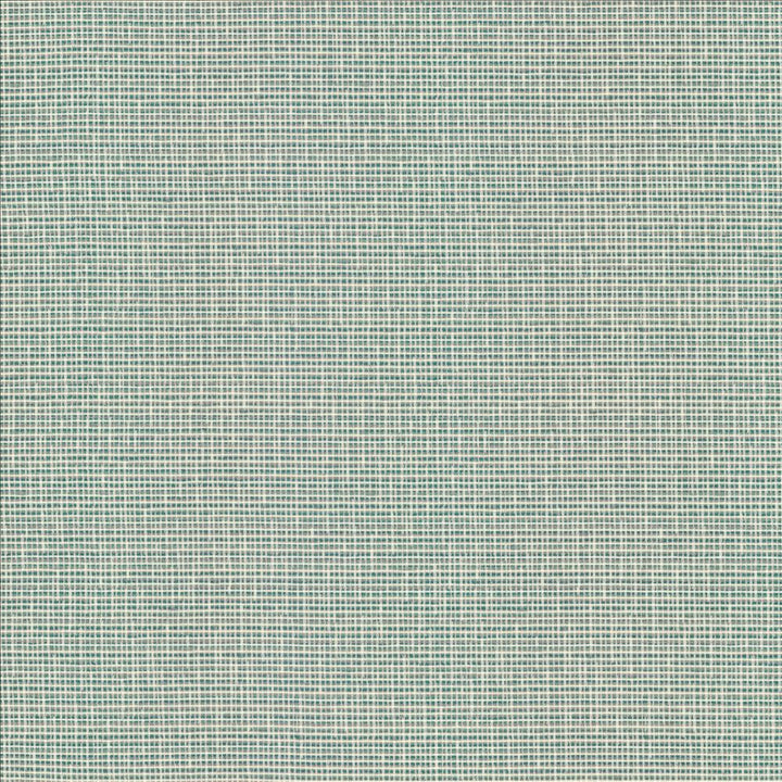 Unity Spa  by Kasmir Designer Fabric 1464 100% Polyester
 TURKEY 50,000 Wyzenbeek Double Rubs Horizontal: N/A and Vertical: N/A 55  - Swanky Fabrics -