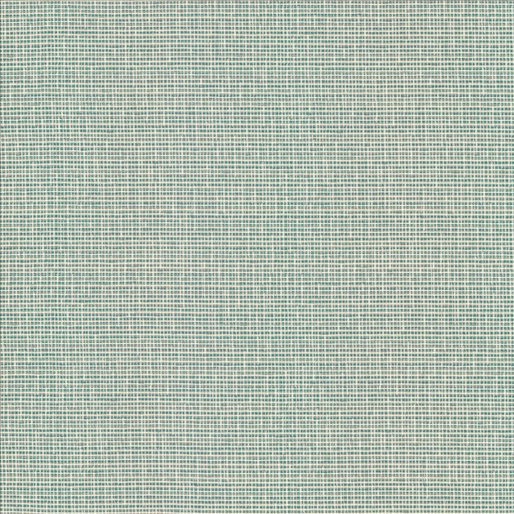 Unity Spa by Kasmir Designer Fabric 1464 100% Polyester
 TURKEY 50,000 Wyzenbeek Double Rubs </p><p>Repeat: Horizontal: N/A and Vertical: N/A 55 - Swanky Fabrics -