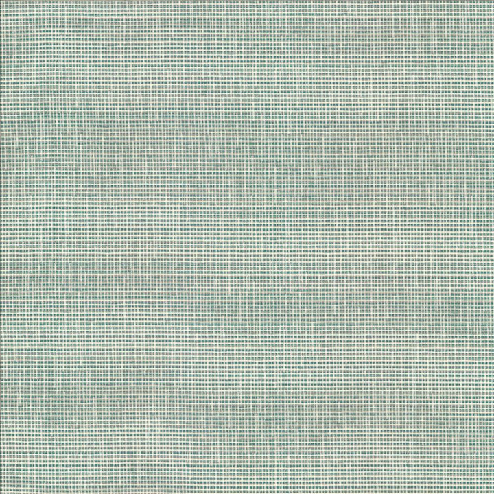 Unity Spa by Kasmir Designer Fabric 1464 100% Polyester
 TURKEY 50,000 Wyzenbeek Double Rubs </p><p>Repeat: Horizontal: N/A and Vertical: N/A 55 - Swanky Fabrics -