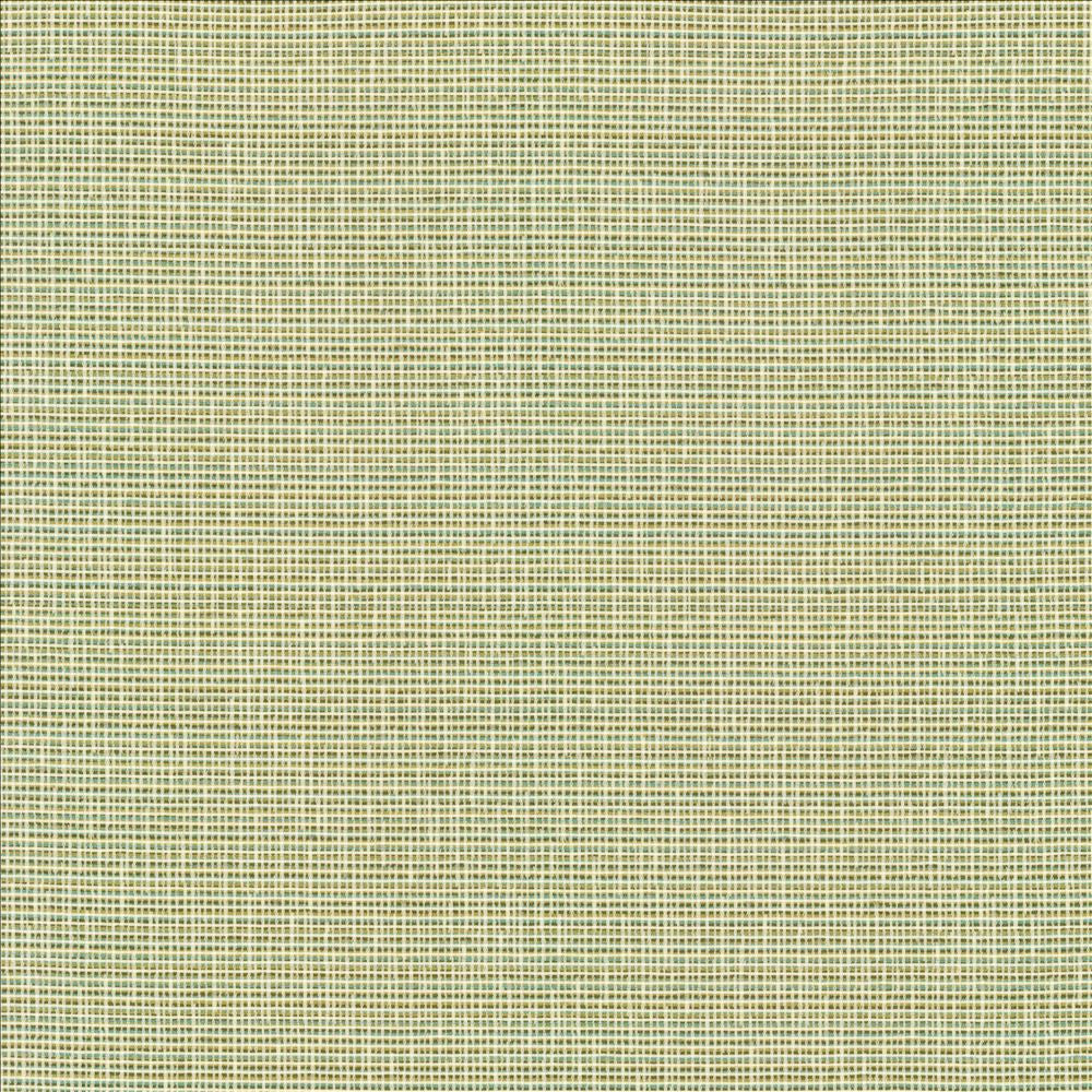 Unity Spring by Kasmir Designer Fabric 1464 100% Polyester
 TURKEY 50,000 Wyzenbeek Double Rubs </p><p>Repeat: Horizontal: N/A and Vertical: N/A 55 - Swanky Fabrics -