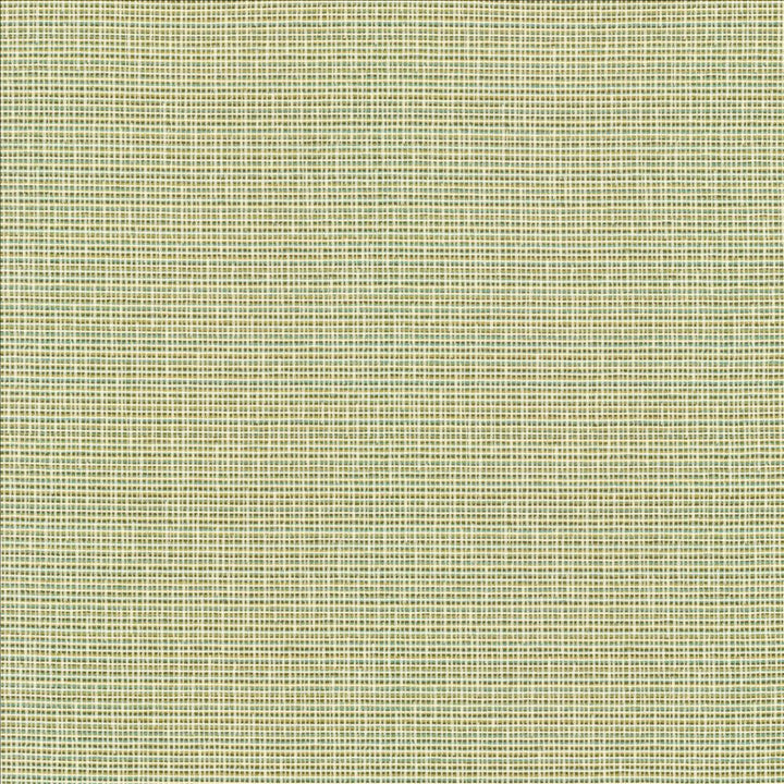Unity Spring by Kasmir Designer Fabric 1464 100% Polyester
 TURKEY 50,000 Wyzenbeek Double Rubs </p><p>Repeat: Horizontal: N/A and Vertical: N/A 55 - Swanky Fabrics -