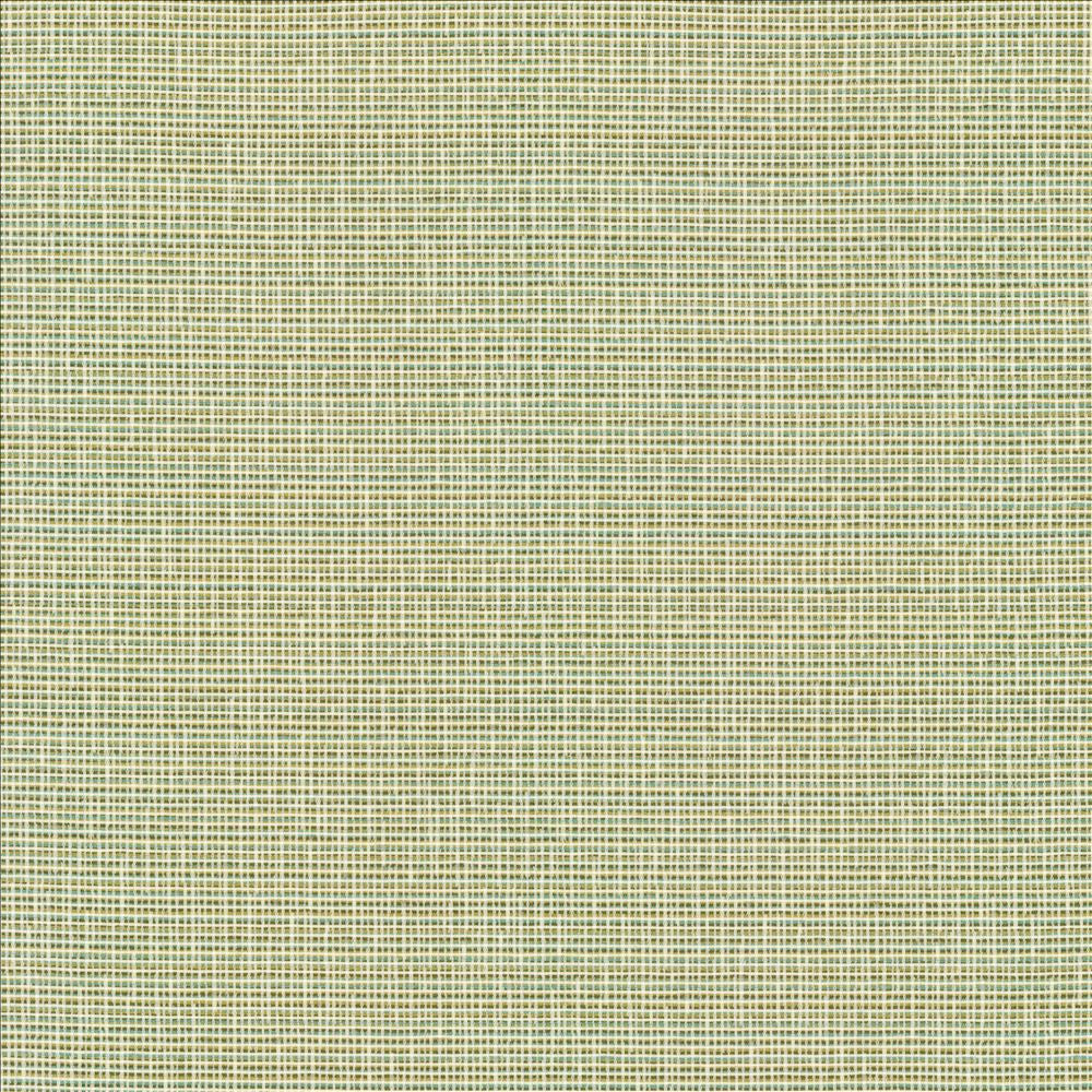 Unity Spring  by Kasmir Designer Fabric 1464 100% Polyester
 TURKEY 50,000 Wyzenbeek Double Rubs Horizontal: N/A and Vertical: N/A 55  - Swanky Fabrics -