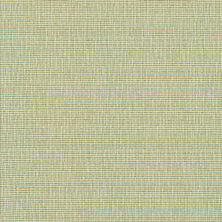 Unity Spring  by Kasmir Designer Fabric 1464 100% Polyester
 TURKEY 50,000 Wyzenbeek Double Rubs Horizontal: N/A and Vertical: N/A 55  - Swanky Fabrics -