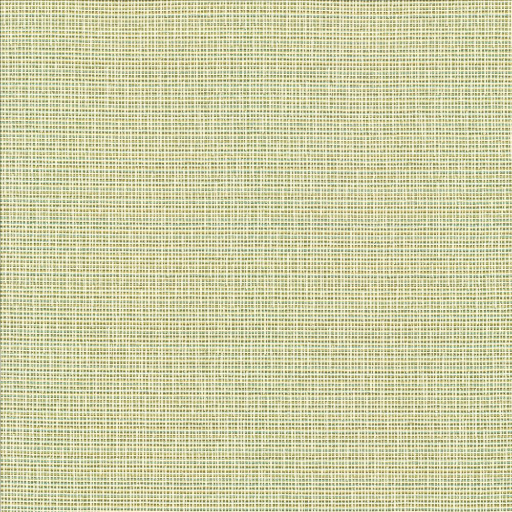 Unity Spring by Kasmir Designer Fabric 1464 100% Polyester
 TURKEY </p><p>Repeat: Horizontal: N/A and Vertical: N/A 55 - Swanky Fabrics -