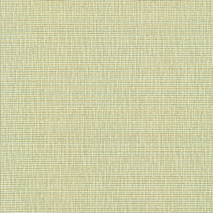 Unity Spring by Kasmir Designer Fabric 1464 100% Polyester
 TURKEY </p><p>Repeat: Horizontal: N/A and Vertical: N/A 55 - Swanky Fabrics -