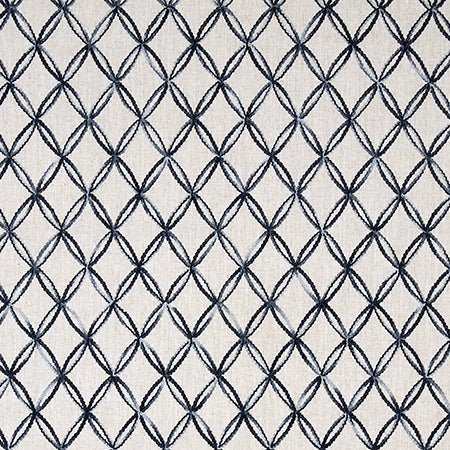 Inside And Out Denim by Carole Designer Fabric