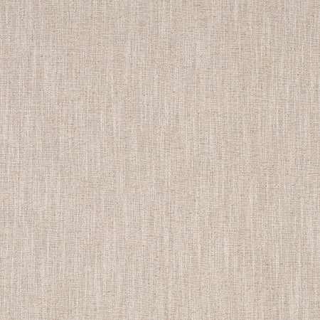 Undeniable Linen by Carole Designer Fabric