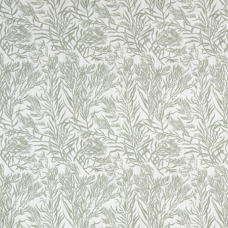 Aquatic Life Sage by Carole Designer Fabric