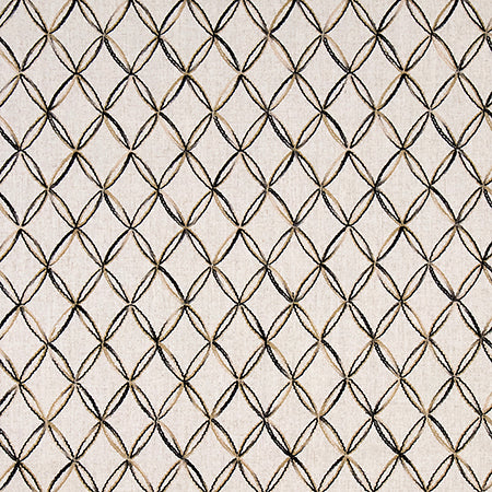 Inside And Out Ebony by Carole Designer Fabric