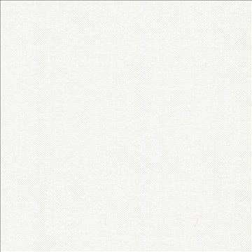 Valeda Lotion by Kasmir Designer Fabric 5092 63% Cotton 37% Polyester TAIWAN 100,000 Wyzenbeek Double Rubs H: N/A, V: N/A 54 - Swanky Fabrics - Kasmir