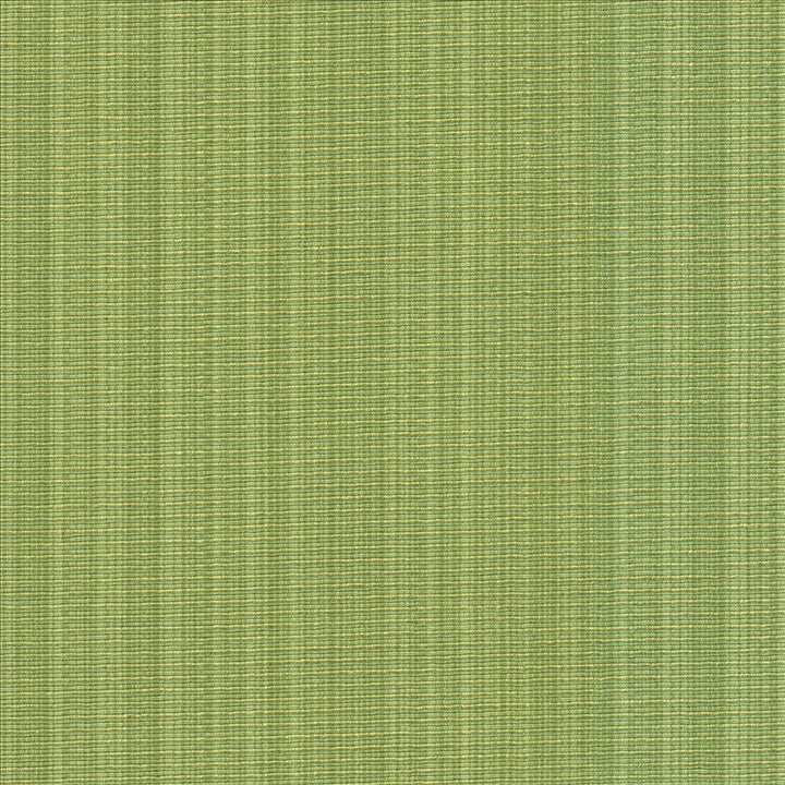 Vanda Fern by Kasmir Designer Fabric 5099 52% Cotton 48% Polyester INDIA 30,000 Wyzenbeek Double Rubs Horizontal: 0 Inches and Vertical: 0 Inches 55 - Swanky Fabrics -
