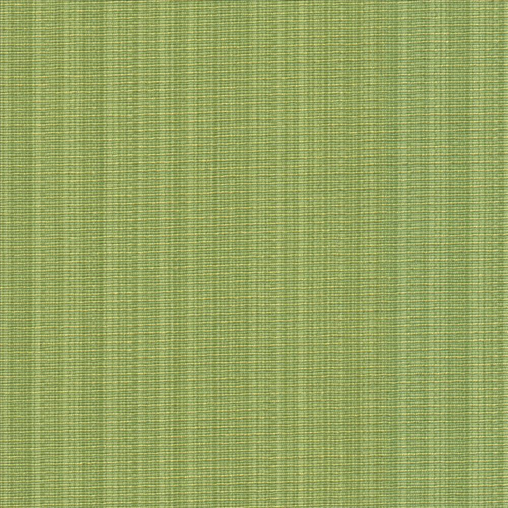 Vanda Fern  by Kasmir Designer Fabric 5099 52% Cotton
48% Polyester
 INDIA 30,000 Wyzenbeek Double Rubs Horizontal: N/A and Vertical: N/A 55  - Swanky Fabrics -