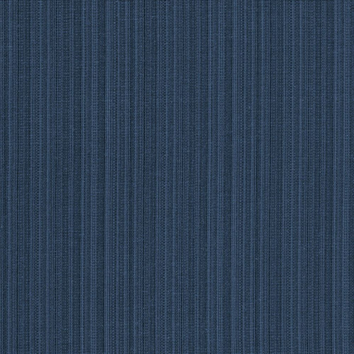 Vanda Navy by Kasmir Designer Fabric 5097 52% Cotton
48% Polyester
 INDIA 30,000 Wyzenbeek Double Rubs </p><p>Repeat: Horizontal: N/A and Vertical: N/A 55 - Swanky Fabrics -