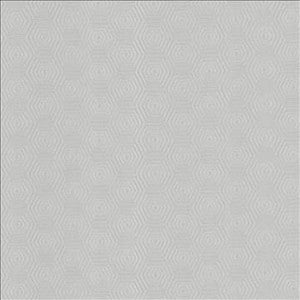 Vault Mineral by Kasmir Designer Fabric