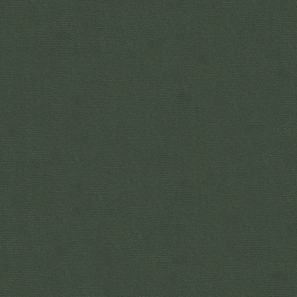 VERSAILLES.E20902 by Kravet Design Designer Fabric our website for purchase Cotton 100% Netherlands Heavy Horizontal: see sample and Vertical: see sample 54 inches - Swanky Fabrics -