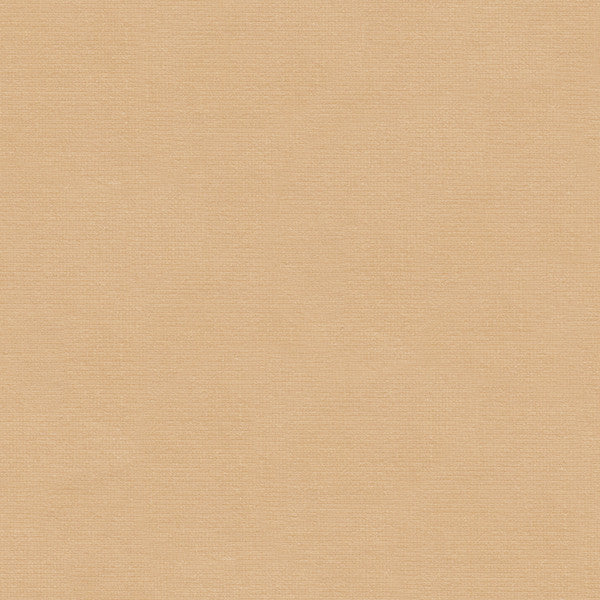 VERSAILLES.E24151 by Kravet Design Designer Fabric our website for purchase Cotton 100% Netherlands Heavy Horizontal: see sample and Vertical: see sample 54 inches - Swanky Fabrics -
