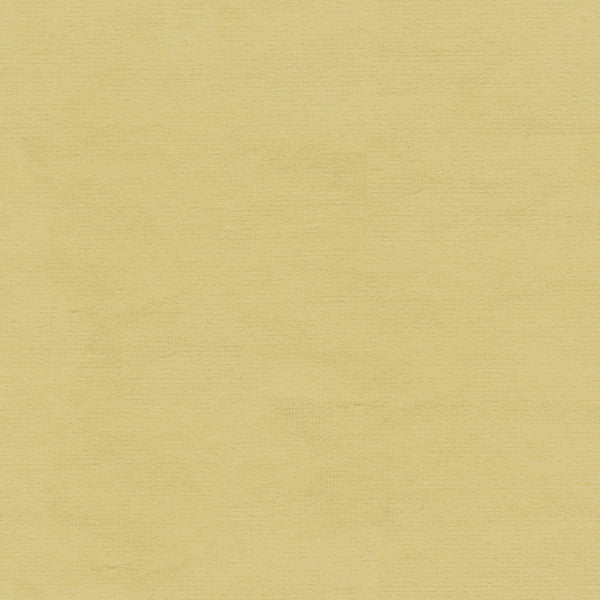 VERSAILLES.E24302 by Kravet Design Designer Fabric our website for purchase Cotton 100% Netherlands Heavy Horizontal: see sample and Vertical: see sample 54 inches - Swanky Fabrics -