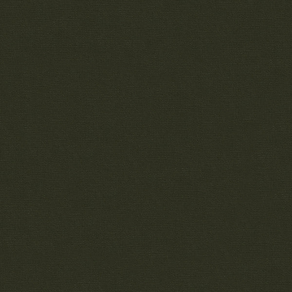 VERSAILLES.E26325 by Kravet Design Designer Fabric our website for purchase Cotton 100% Netherlands Heavy Horizontal: see sample and Vertical: see sample 54 inches - Swanky Fabrics -