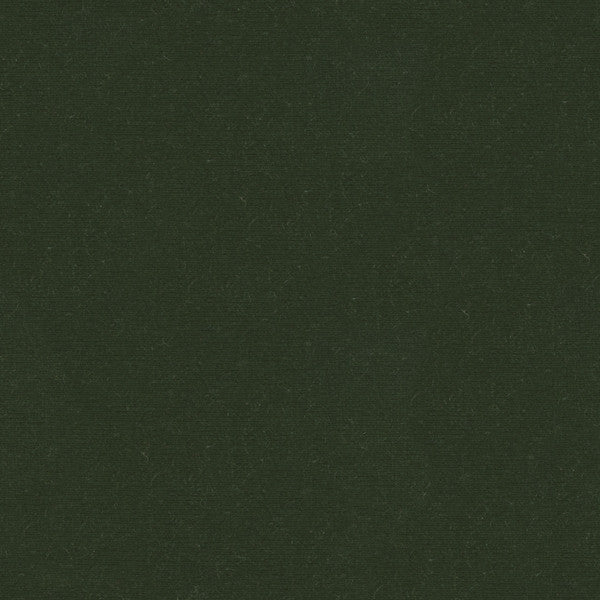 VERSAILLES.E26914 by Kravet Design Designer Fabric our website for purchase Cotton 100% Netherlands Heavy Horizontal: see sample and Vertical: see sample 54 inches - Swanky Fabrics -