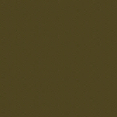 VERSAILLES.E27312 by Kravet Design Designer Fabric our website for purchase Cotton 100% Netherlands Heavy Horizontal: see sample and Vertical: see sample 54 inches - Swanky Fabrics -