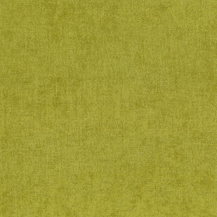 Vestige Basil by Kasmir Designer Fabric See sample 100% Polyester
 CHINA 30,000 Wyzenbeek Double Rubs </p><p>Repeat: Horizontal: N/A and Vertical: N/A 55 - Swanky Fabrics -