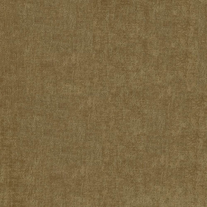 Vestige Beaver  by Kasmir Designer Fabric 5051 100% Polyester
 CHINA 30,000 Wyzenbeek Double Rubs Horizontal: N/A and Vertical: N/A 55  - Swanky Fabrics -