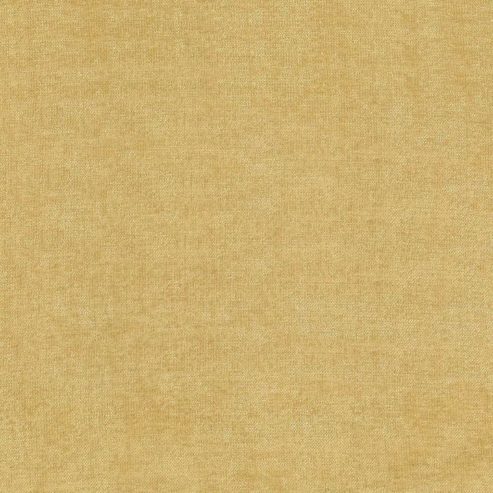 Vestige Honey by Kasmir Designer Fabric 5051 100% Polyester CHINA 30,000 Wyzenbeek Double Rubs Horizontal: 0 Inches and Vertical: 0 Inches 55 - Swanky Fabrics -