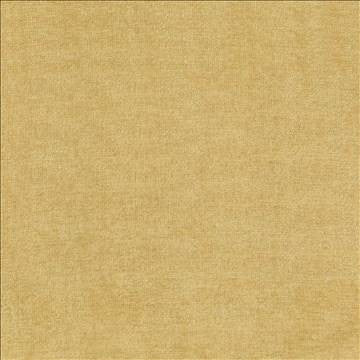 Vestige Honey by Kasmir Designer Fabric 5051 100% Polyester CHINA 30,000 Wyzenbeek Double Rubs H: N/A, V: N/A 55 - Swanky Fabrics - Kasmir